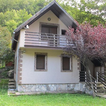 Villa Biocinovici Vikendica à Kolašin Extérieur photo