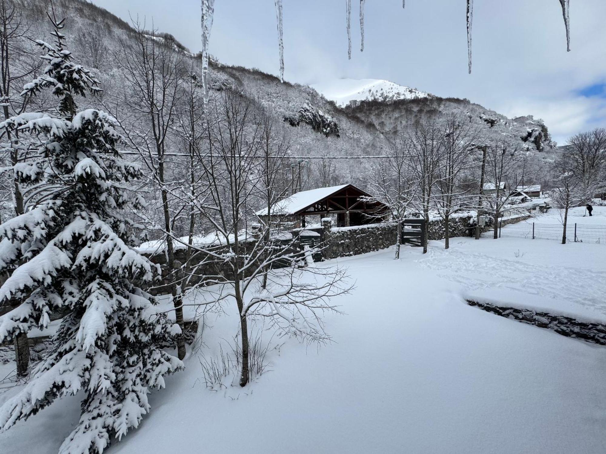 Villa Biocinovici Vikendica à Kolašin Extérieur photo